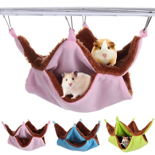 Ferret rat squirrel - rat, pet