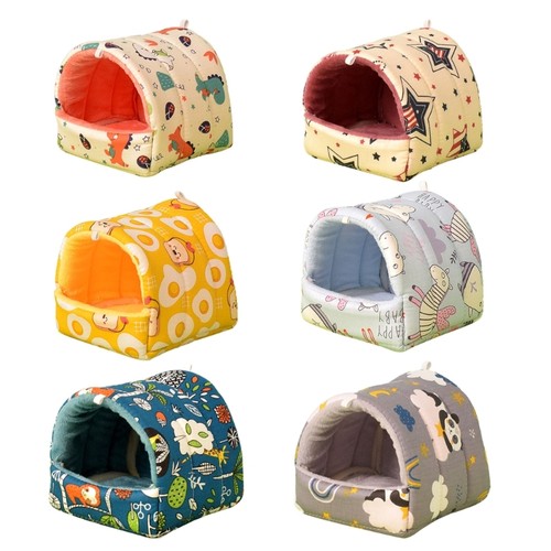 Ferrets house squirrels - ferrets,