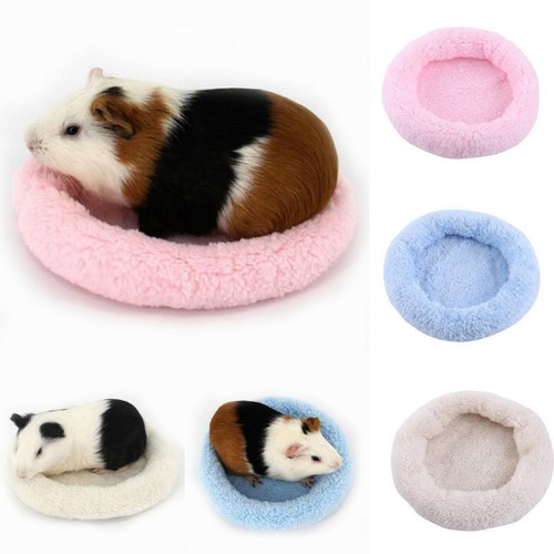 Rat hamster house bed - rat, pad
