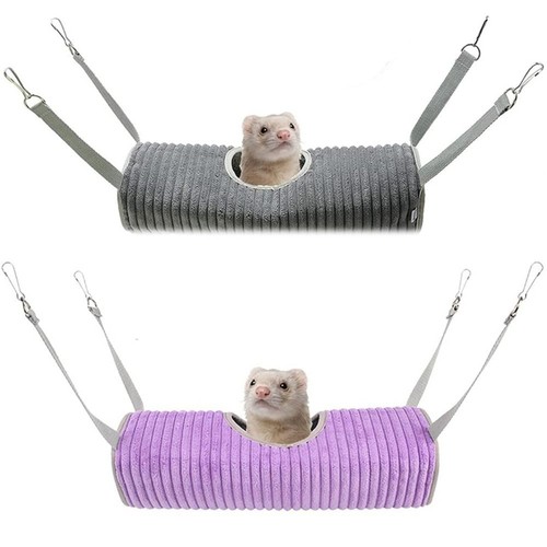 Small animal guinea pig - small,