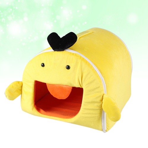 Winter warm yellow - winter, pet