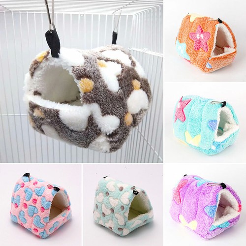 Small animal pet - animal, hanging