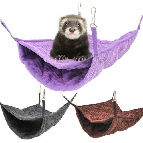 Winter cage hamster - winter,