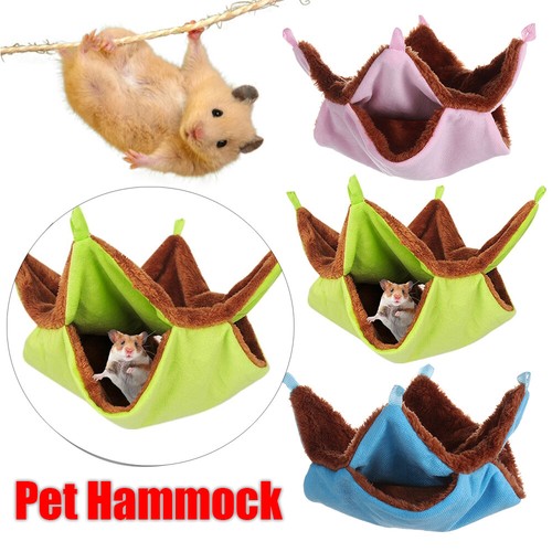 Ferret rat squirrel - ferret,