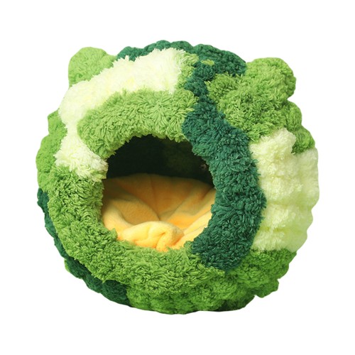 Bird cage parrot nest - bird,