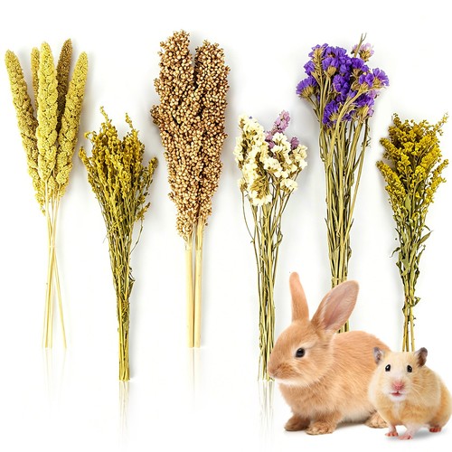 Sukh natural hamster bedding - natural,