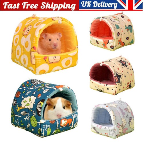 Winter guinea pig nest - winter,