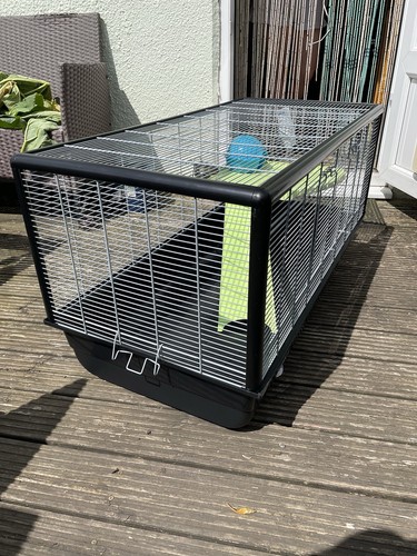Hamster cage accessories - hamster,
