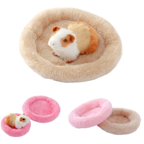 Winter soft fleece guinea - soft, pig