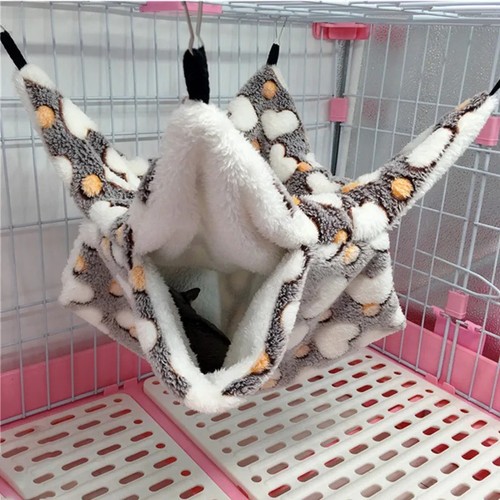 Ferret rat hammock squirrel - rat,