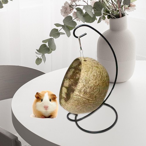 Hamster hammock toys house - hamster, toys,
