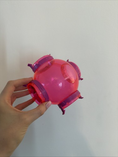 Pet hamster cage accessories - hamster,