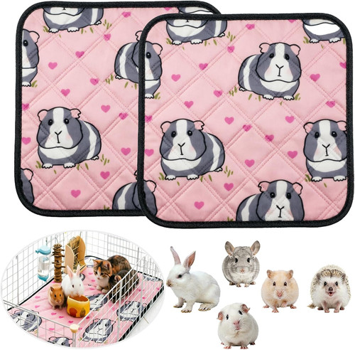 Packs guinea pig cage - guinea,