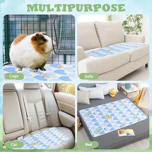 Reusable guinea pig - pig, pee